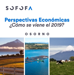 Perspectivas Económicas: ¿Cómo se viene el 2019? – Osorno