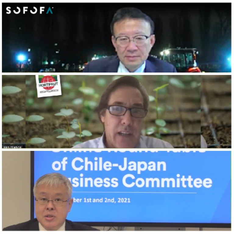 Comité Empresarial Chile – Japón de SOFOFA realizó webinar sobre agricultura inteligente y su impacto en la productividad y sostenibilidad de la industria